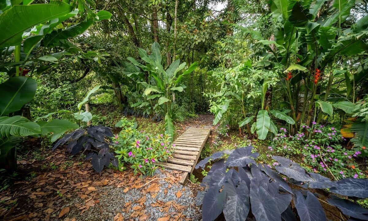 Photo of Outdoor in Bajos del Toro