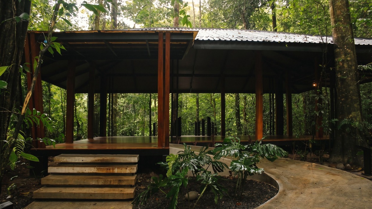 Photo of Outdoor in La Palmeria