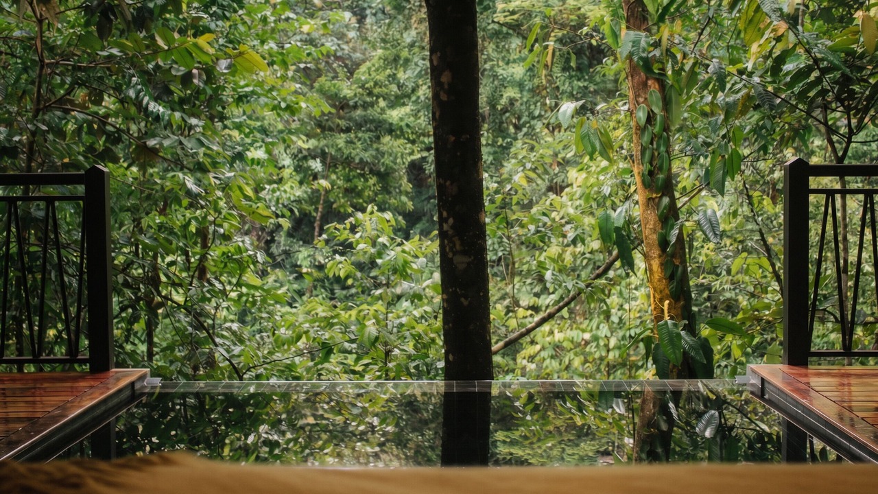 Photo of Outdoor in La Palmeria
