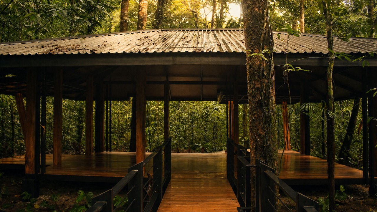 Photo of Outdoor in La Palmeria