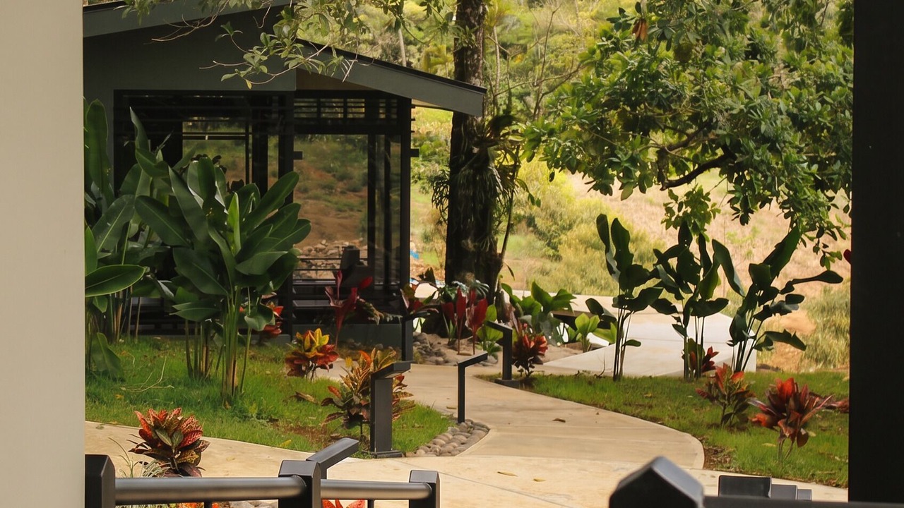 Photo of Outdoor in La Palmeria
