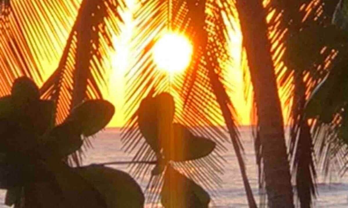 Photo of Others in Manzanillo