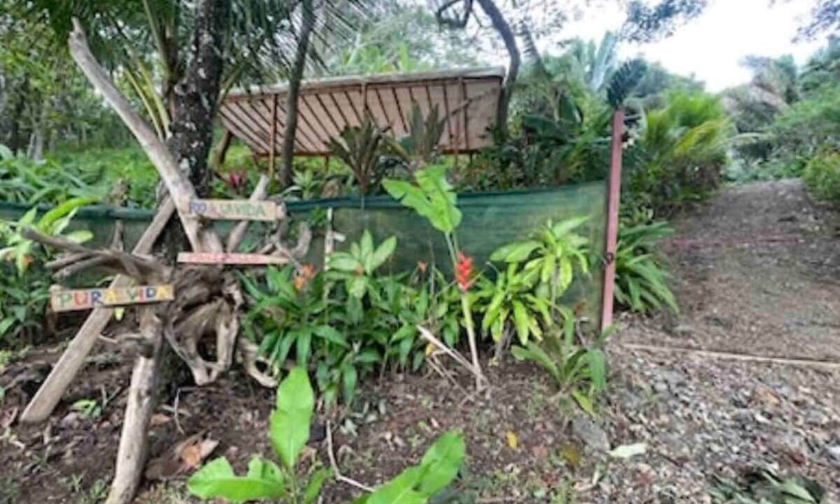 Photo of Outdoor in Manzanillo