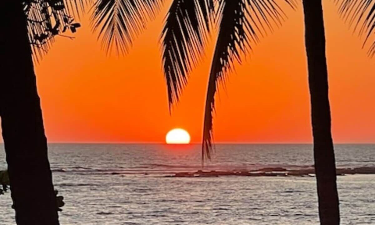 Photo of Others in Manzanillo