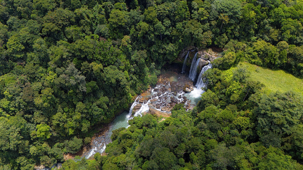 Photo of Outdoor in Dominical