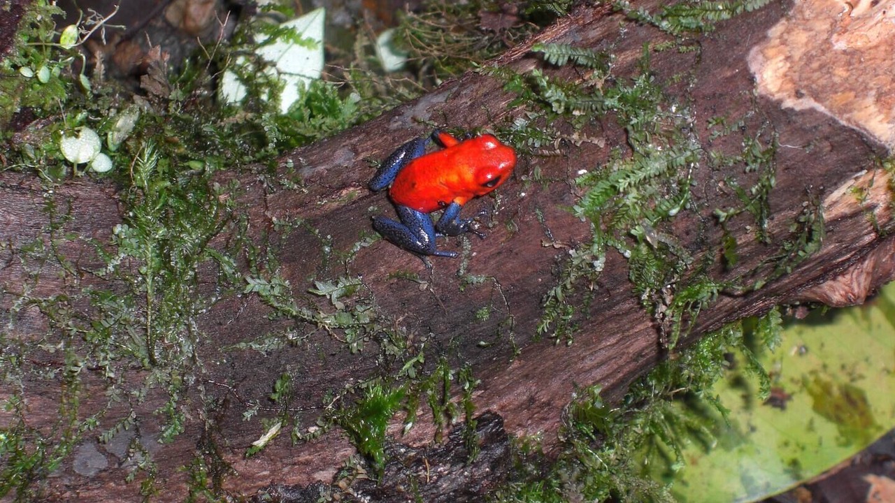 Photo of Outdoor in Penas Blancas