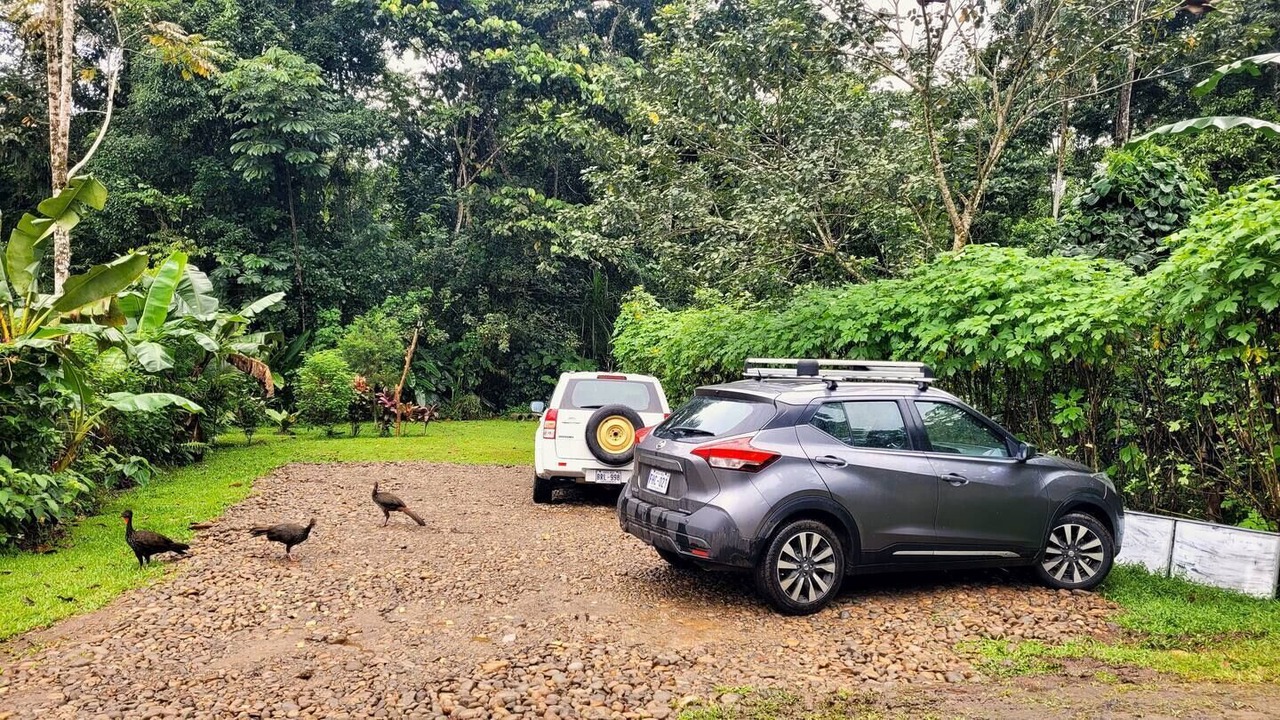 Photo of Outdoor in Penas Blancas