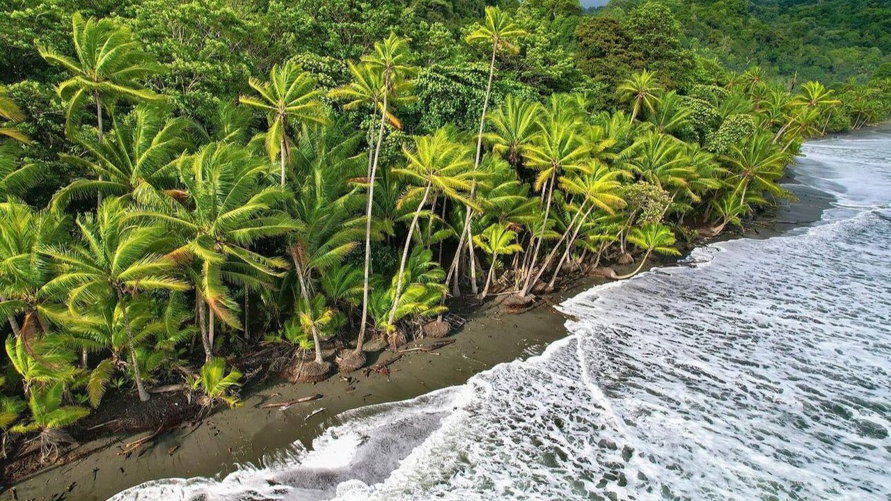 Photo of Others in Punta Banco