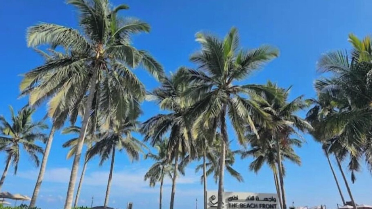 Photo of Outdoor in Salalah