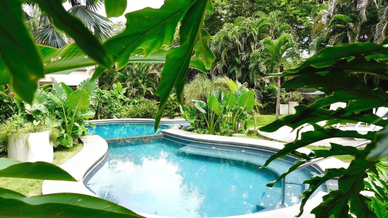Photo of Outdoor in Coco