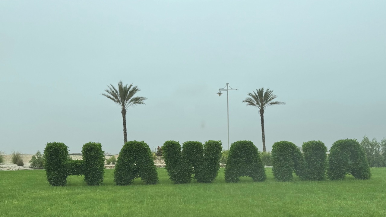 Photo of Outdoor in Salalah