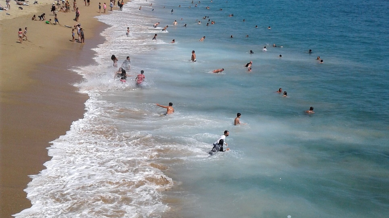 Photo of Others in Netanya