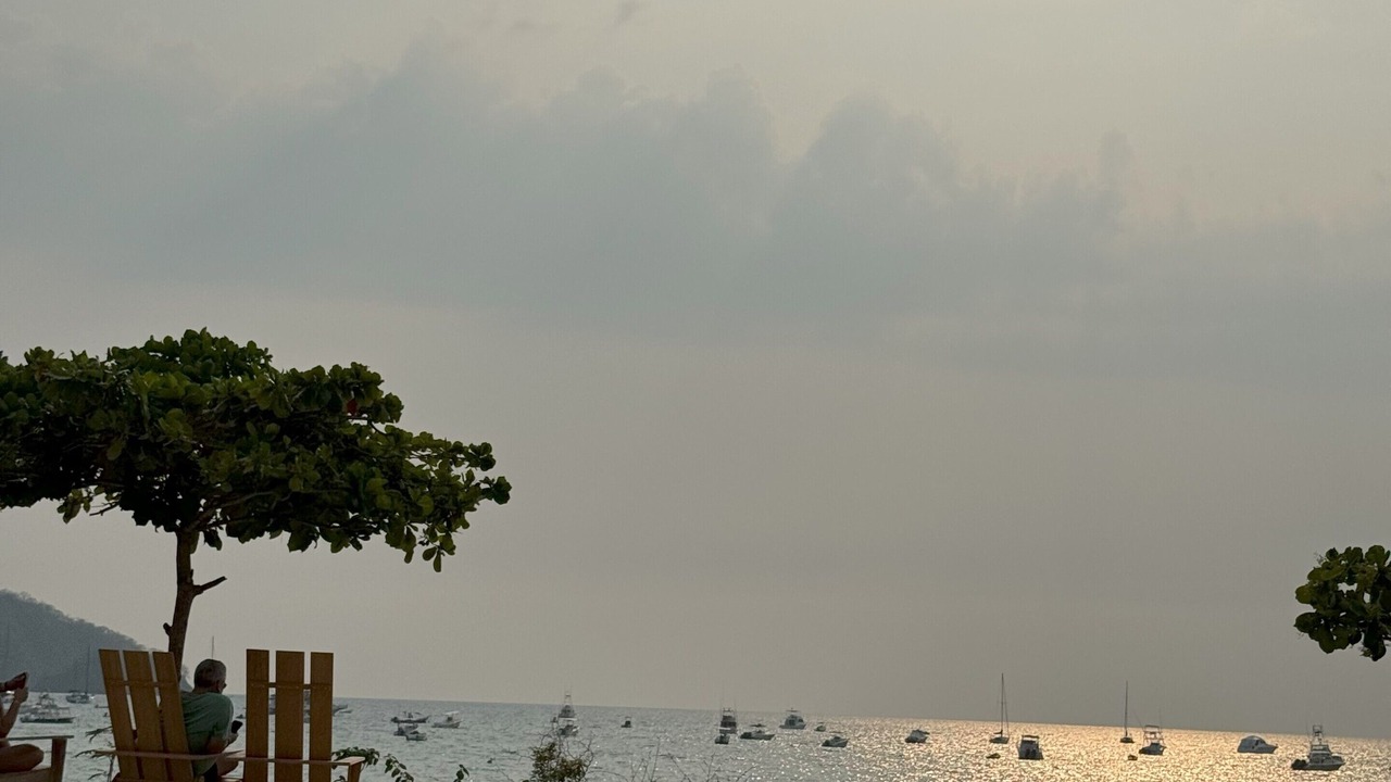 Photo of Others in Coco