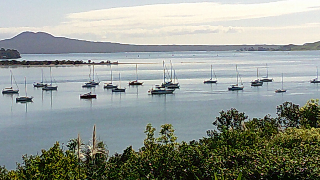 Photo of Others in Half Moon Bay