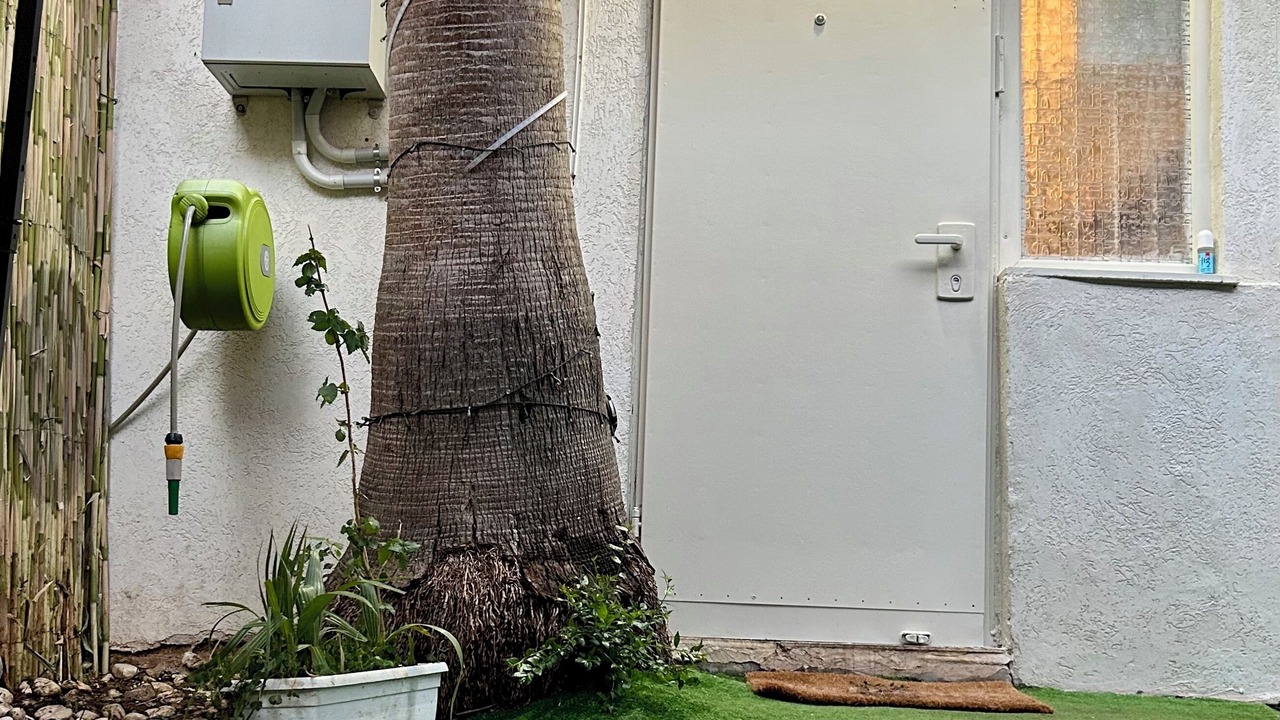 Photo of Outdoor in Rishon LeTsiyon