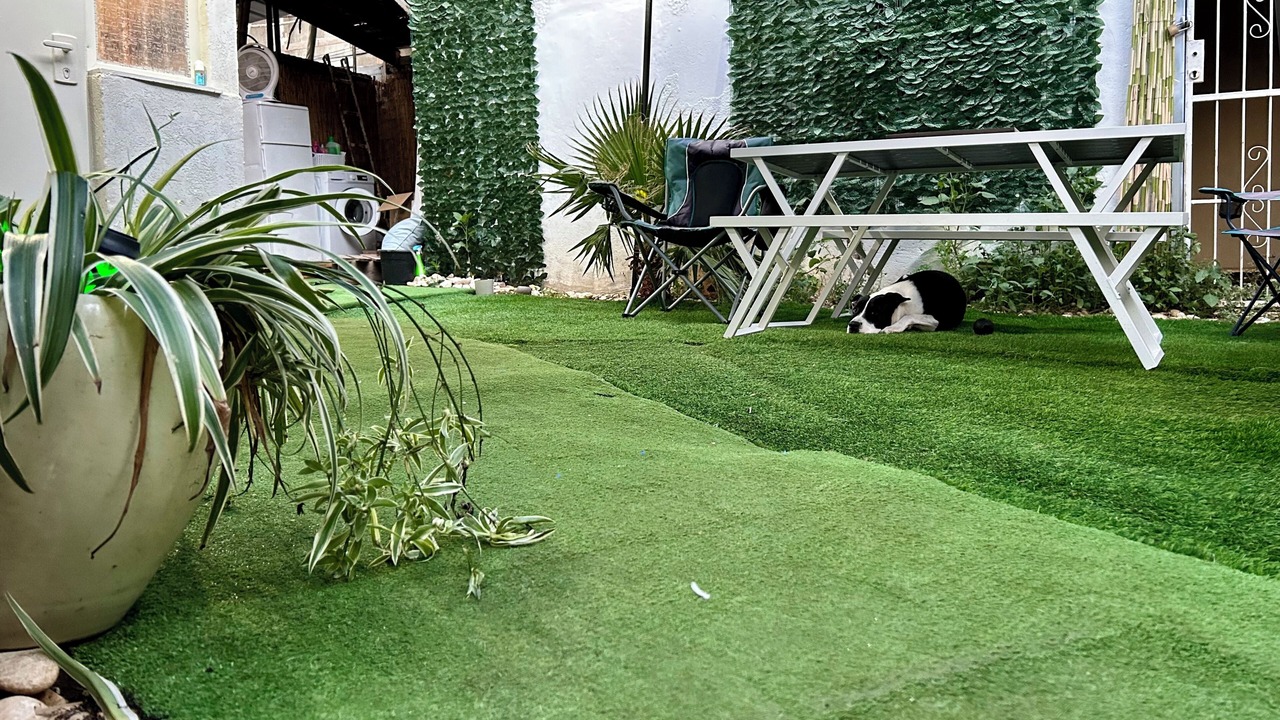 Photo of Outdoor in Rishon LeTsiyon