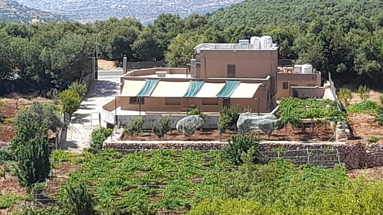 Photo of Outdoor in Ajloun