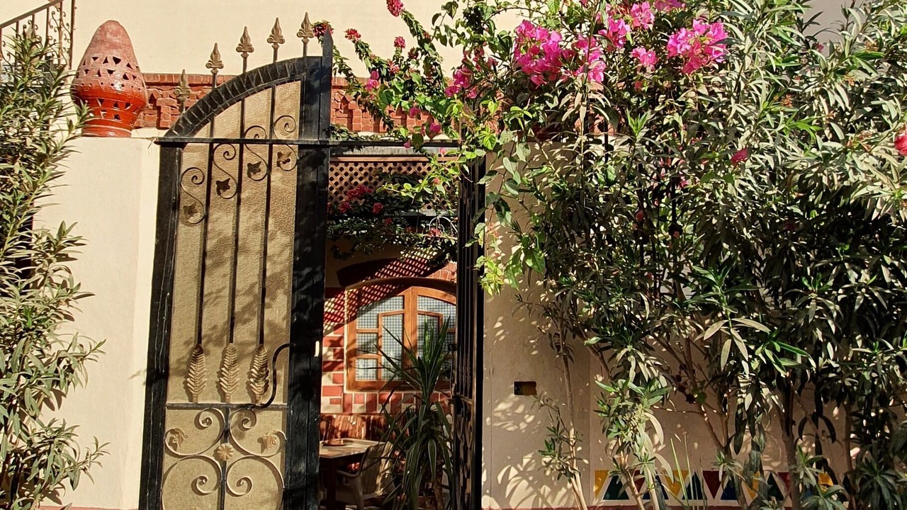 Photo of Outdoor in Luxor