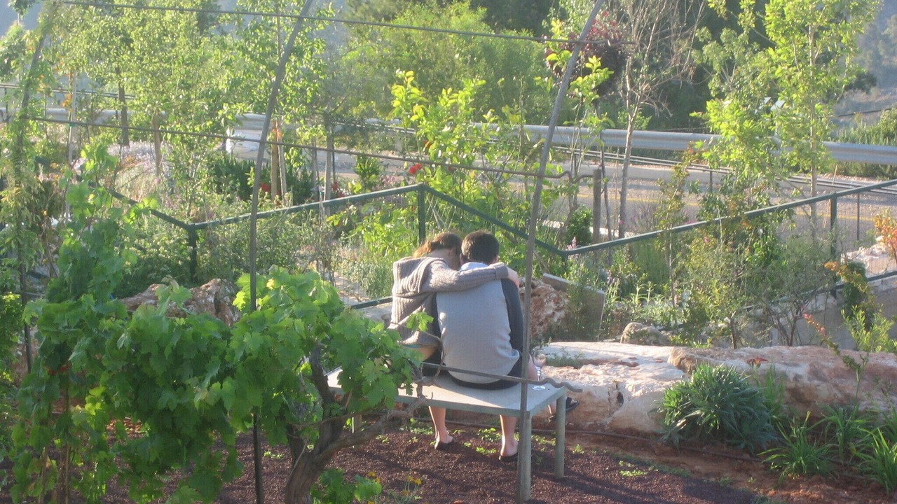 Photo of Outdoor in Mateh Yehuda