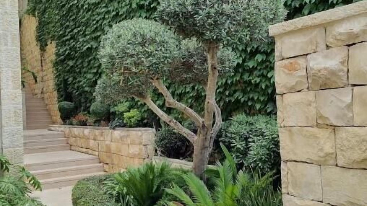 Photo of Outdoor in Ein Karem