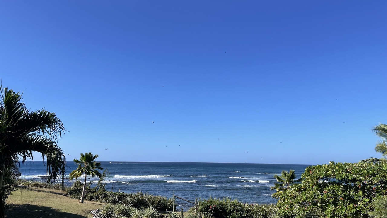Photo of Others in Playa Negra