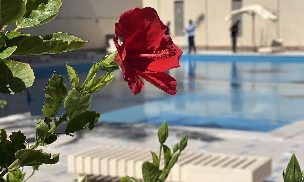 Photo of Outdoor in Al Mamsha El Seyahi