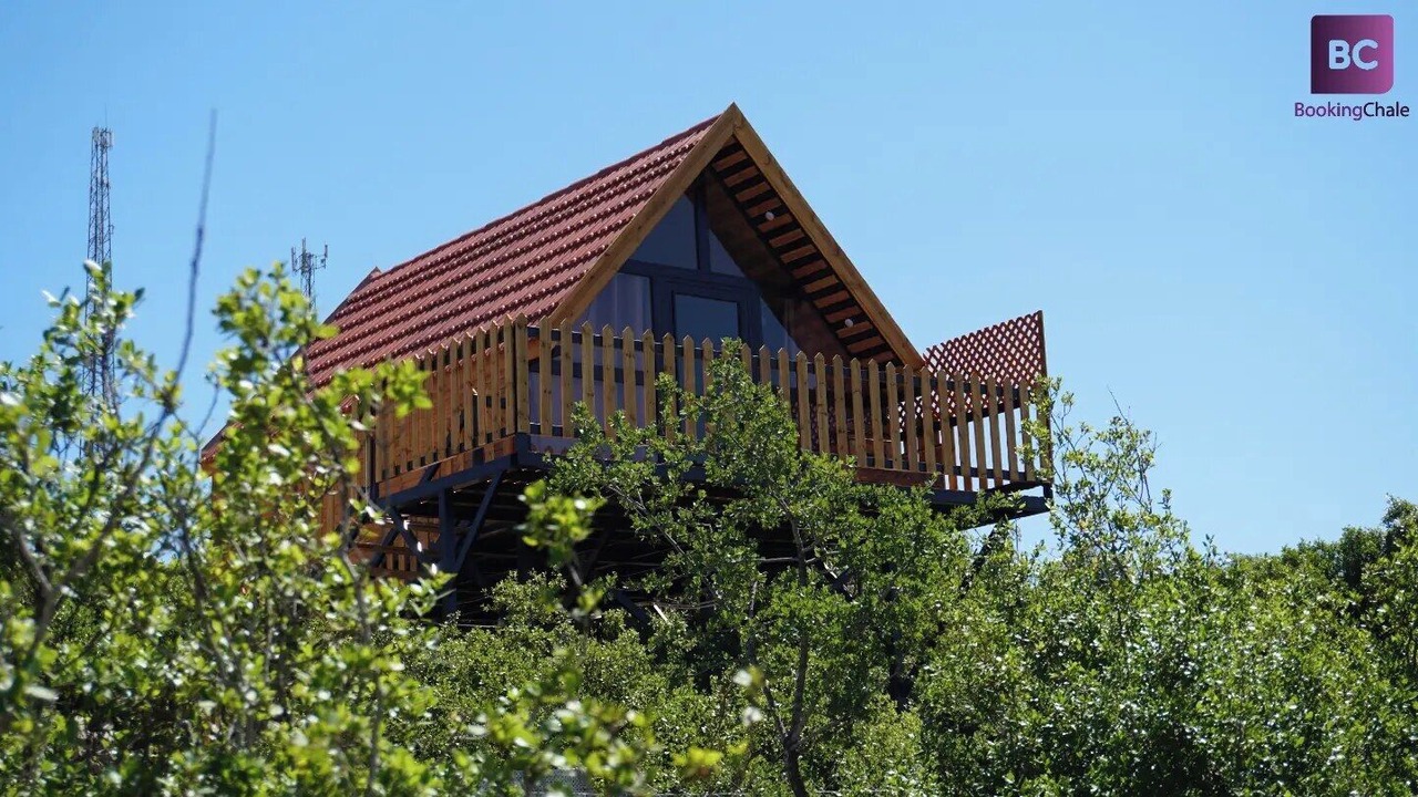 Photo of Outdoor in Ajloun