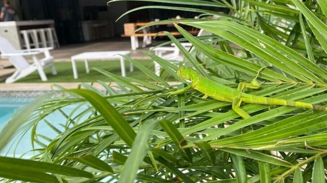 Photo of Outdoor in Los Pargos