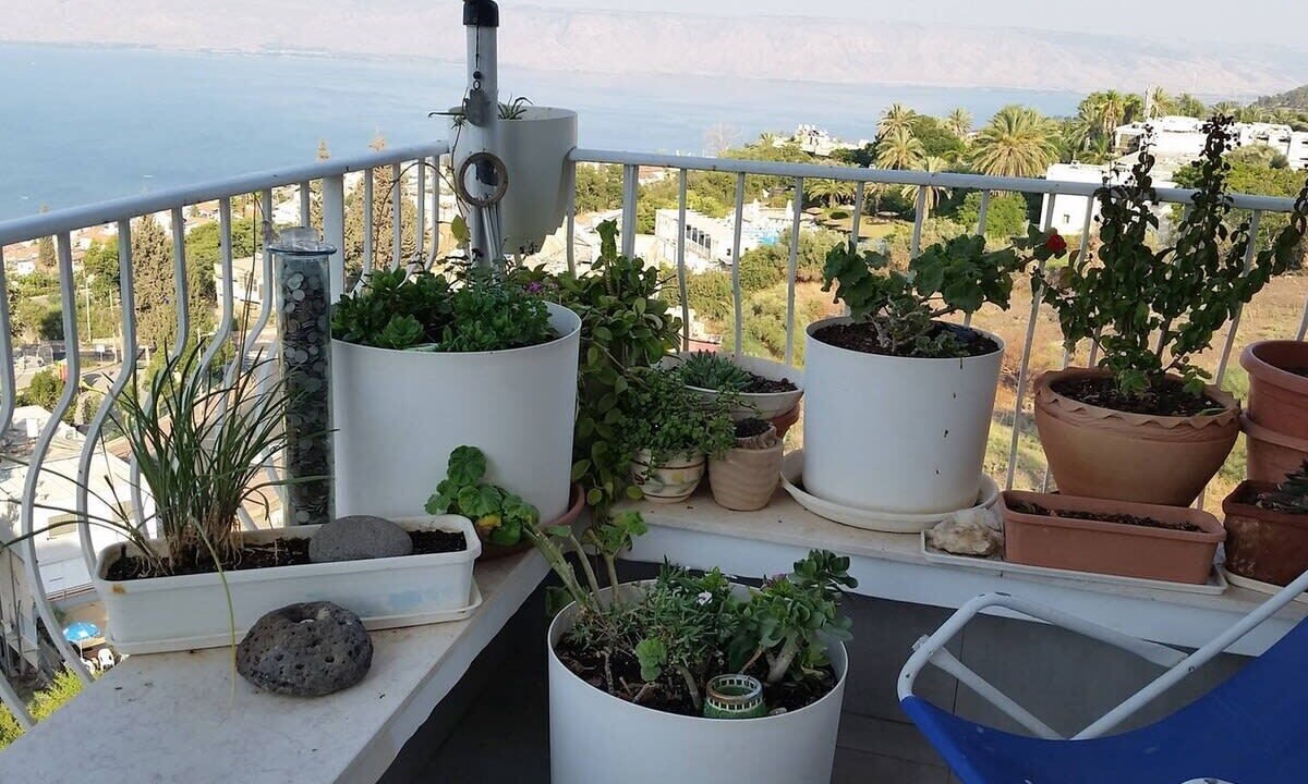 Photo of Others in Tiberias