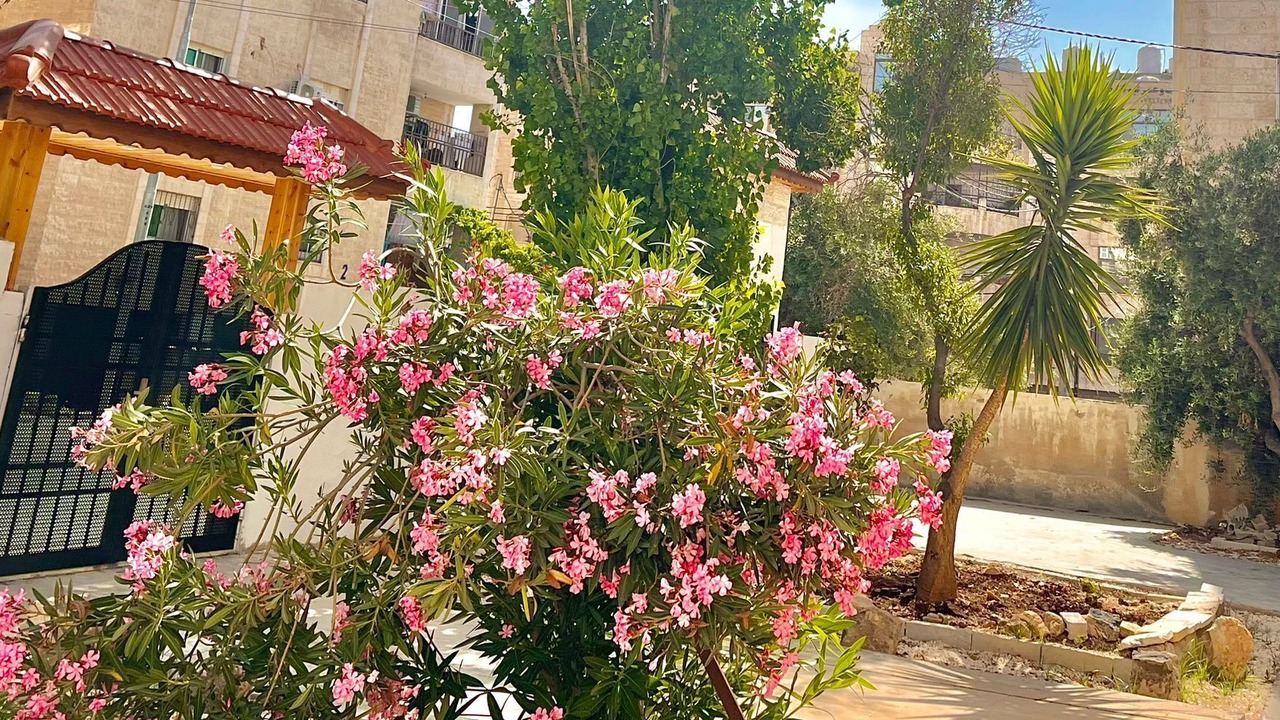 Photo of Outdoor in Irbid