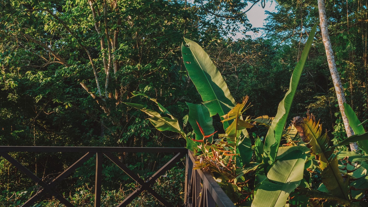 Photo of Patio Balcony in Playa Azul
