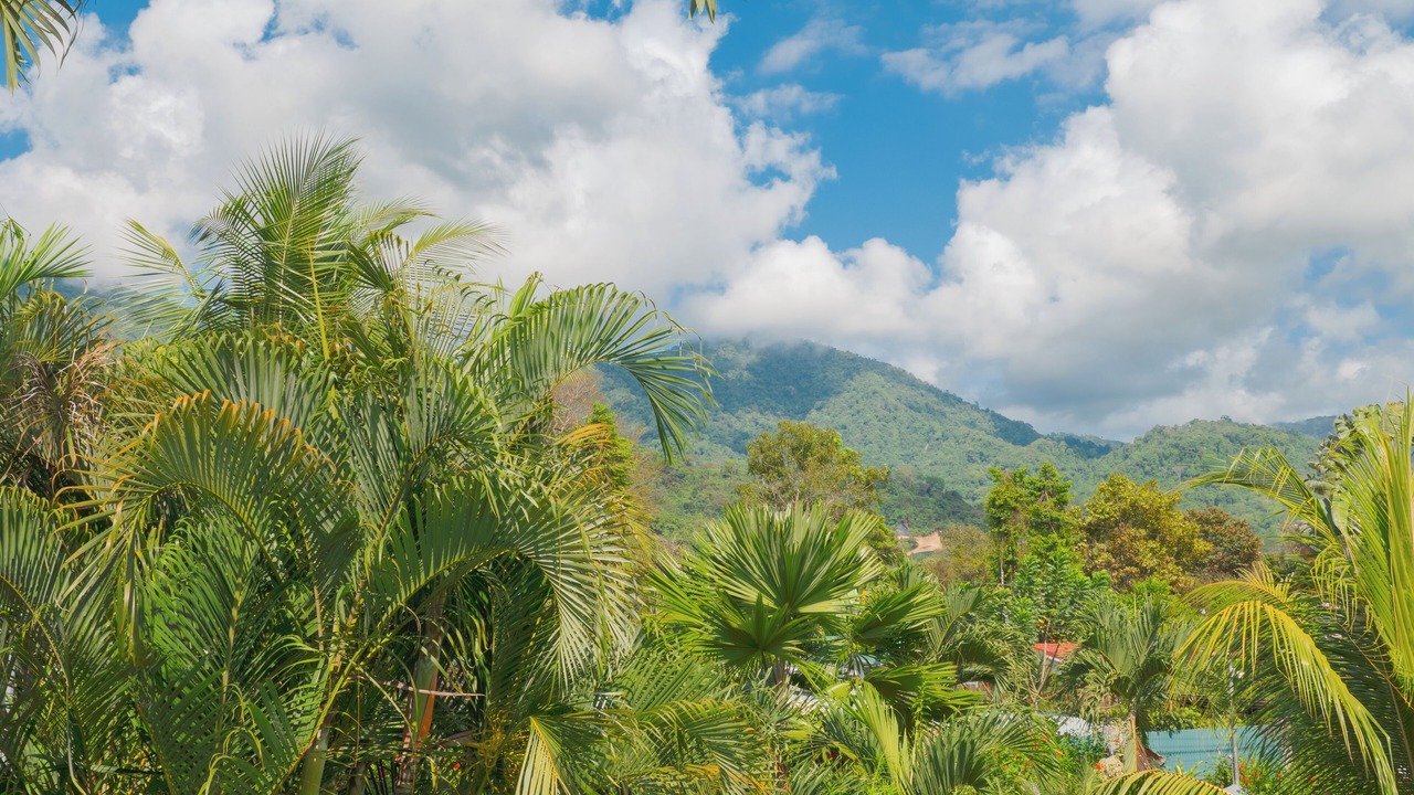 Photo of Outdoor in Ojochal