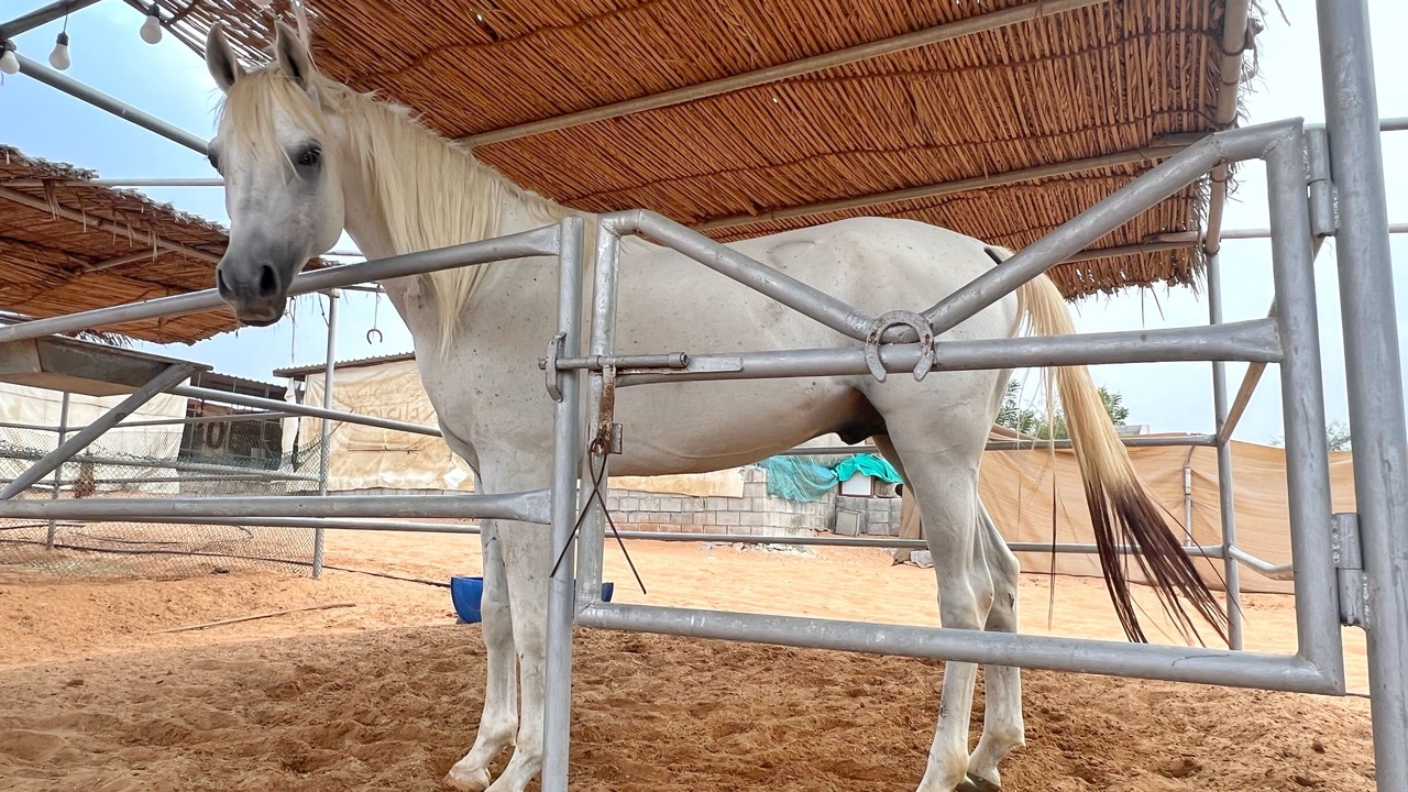 Photo of Outdoor in Ras Al Khaimah