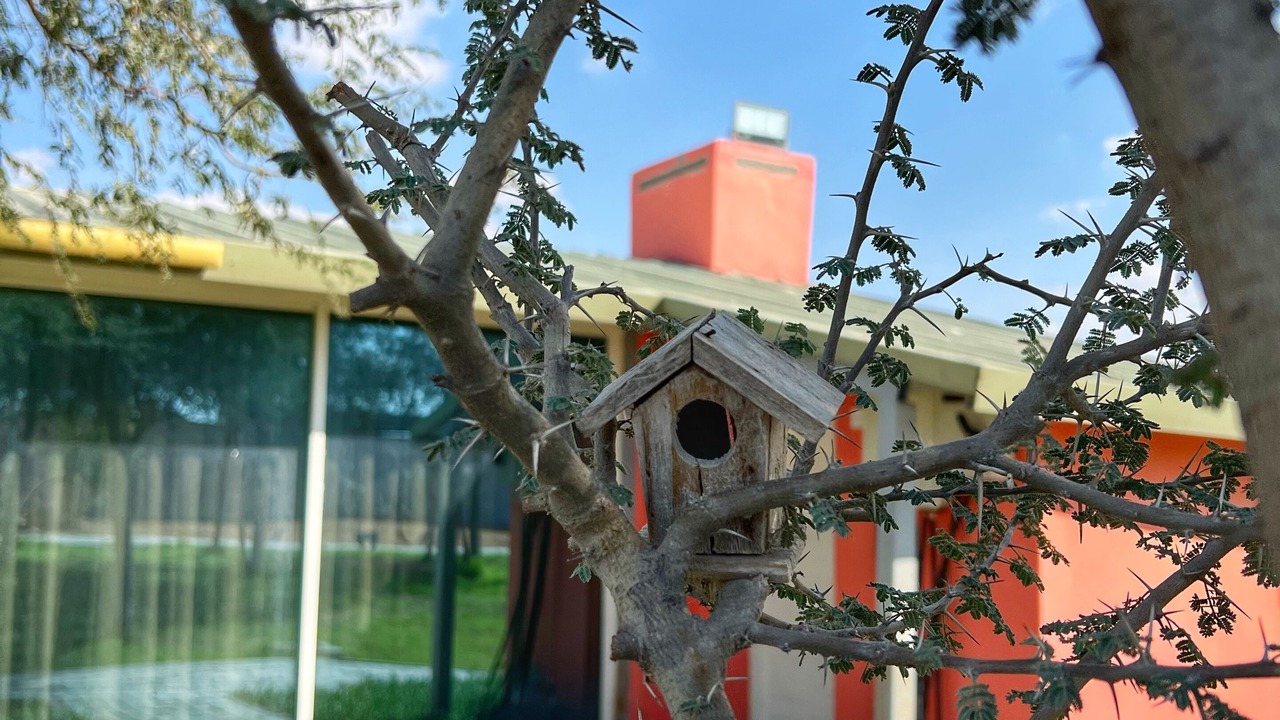 Photo of Outdoor in Ras Al Khaimah