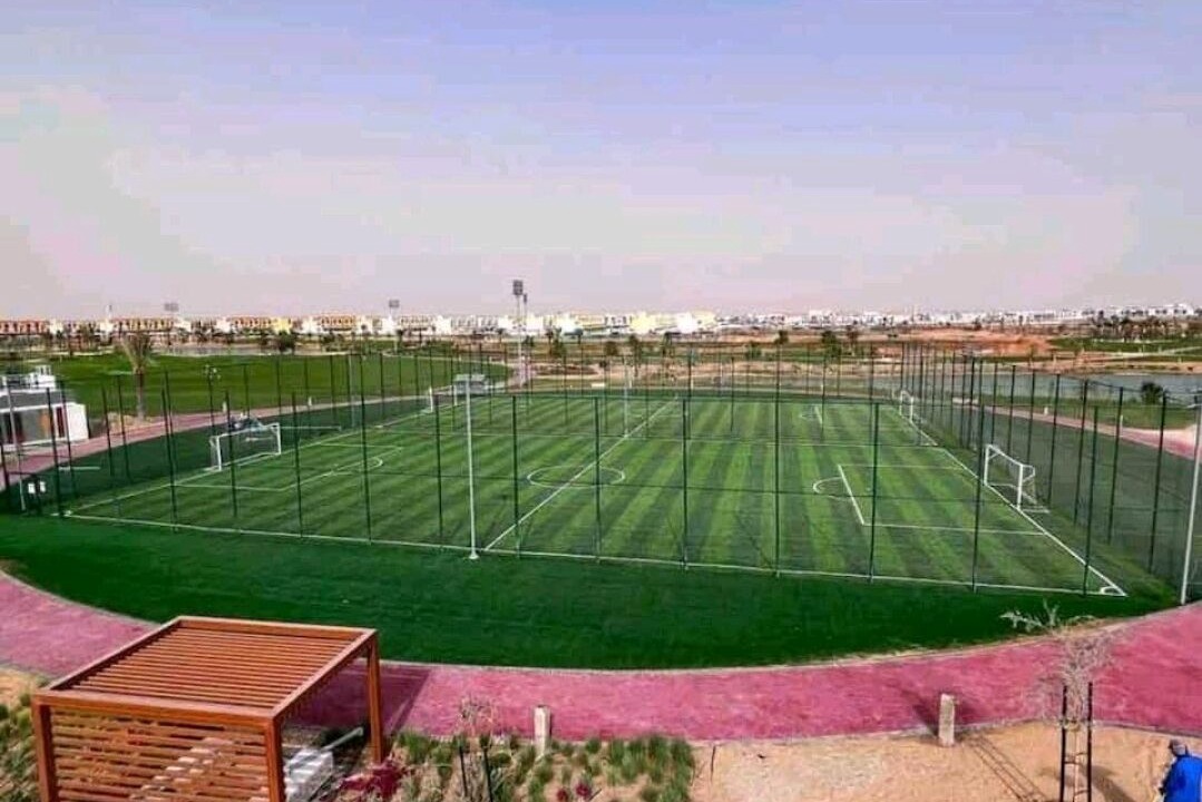 Photo of Others in Dubai