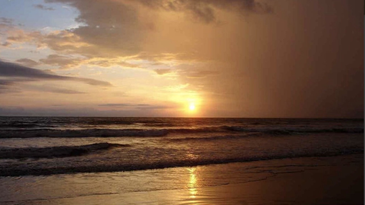 Photo of Others in Jaco