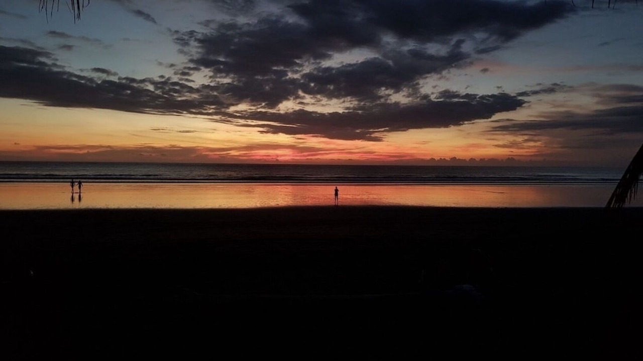 Photo of Others in Jaco