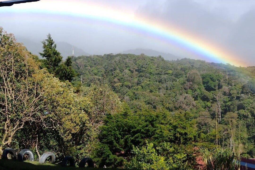 Photo of Outdoor in Monteverde