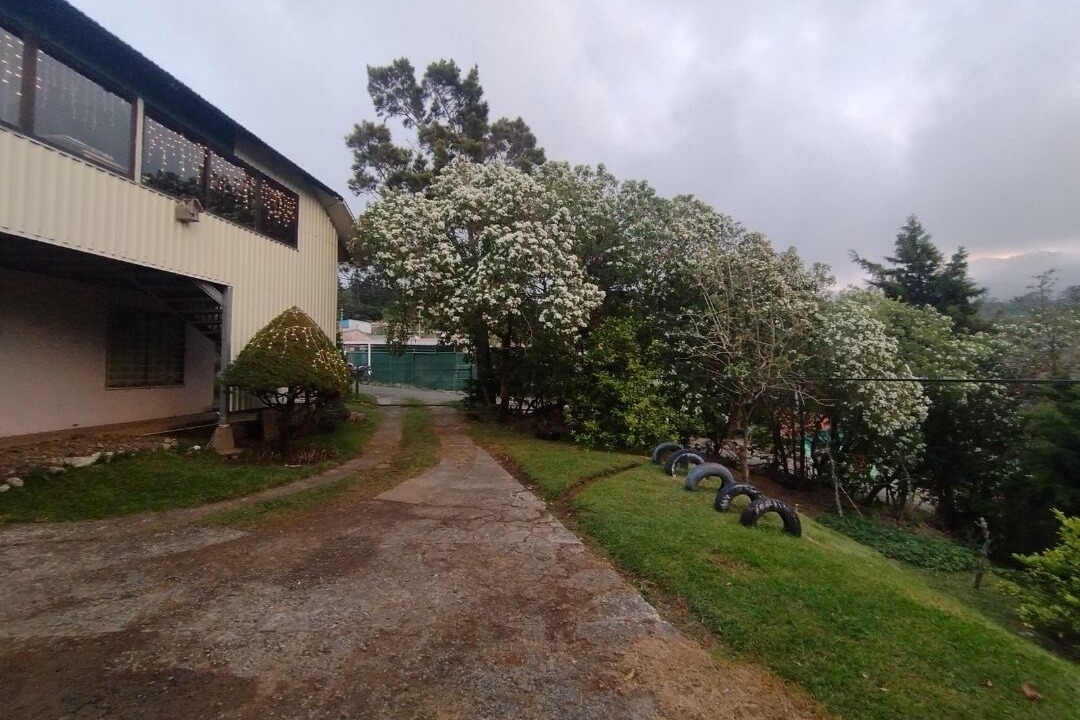 Photo of Outdoor in Monteverde