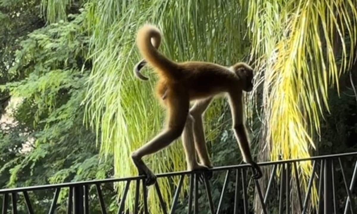Photo of Outdoor in Papagayo Peninsula