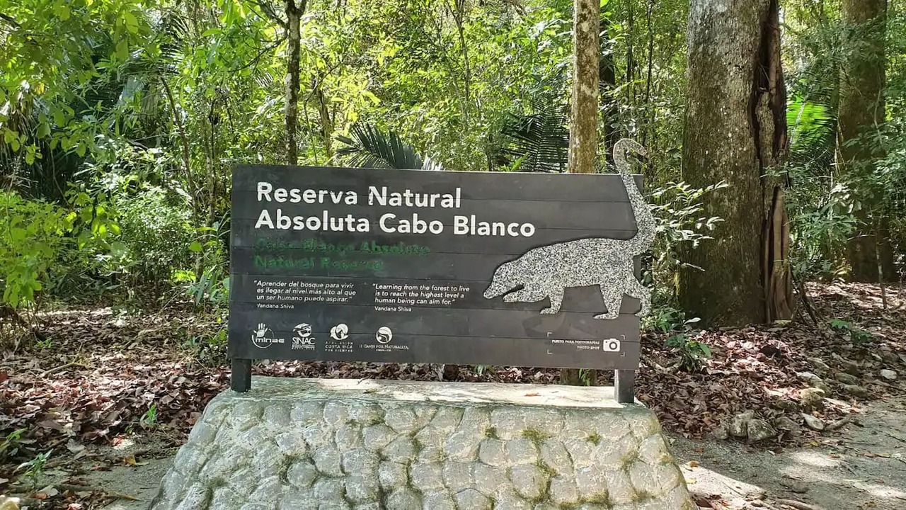 Photo of Outdoor in Las Delicias