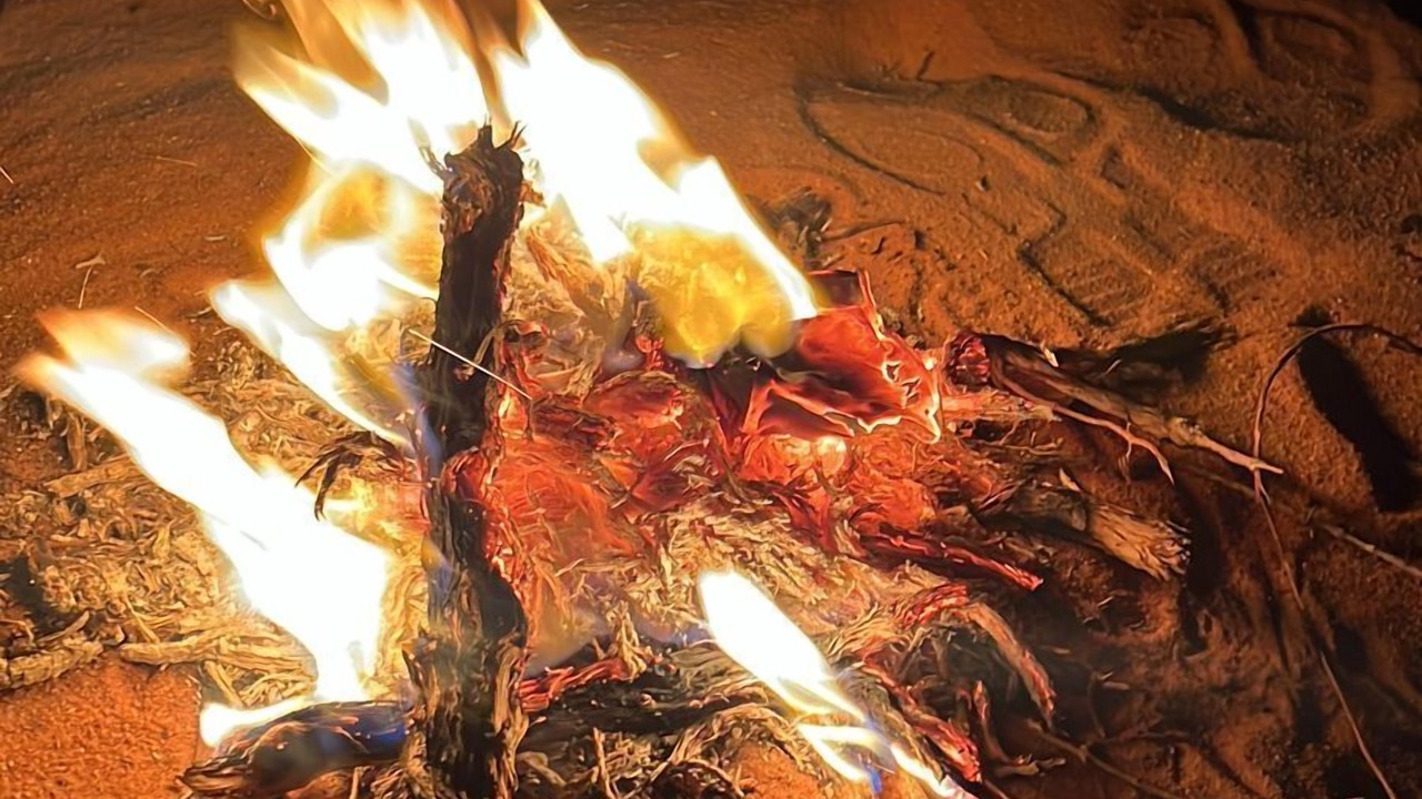 Photo of Others in Wadi Rum
