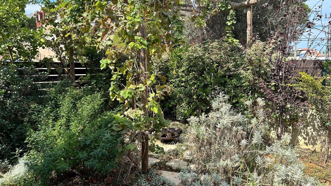 Photo of Outdoor in Zikhron Ya'aqov