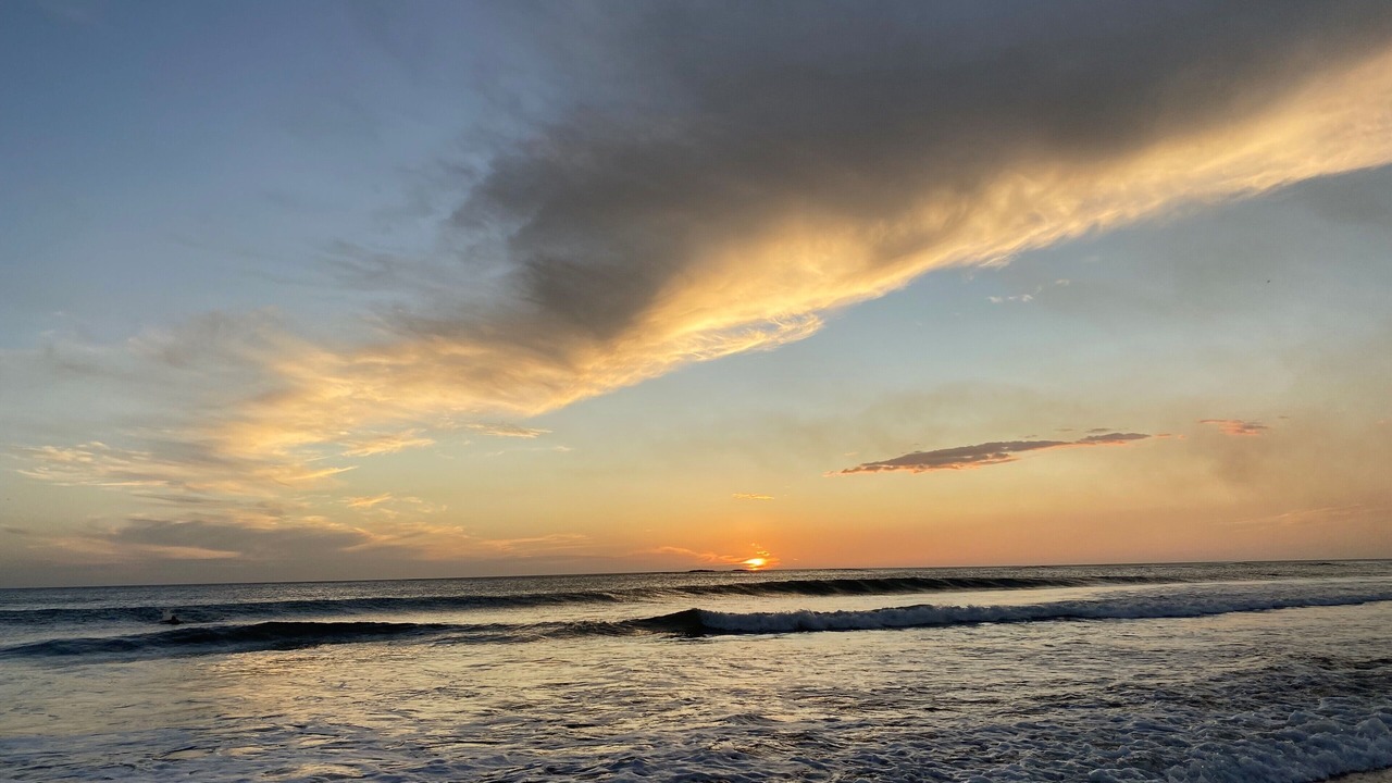 Photo of Others in Playa Grande