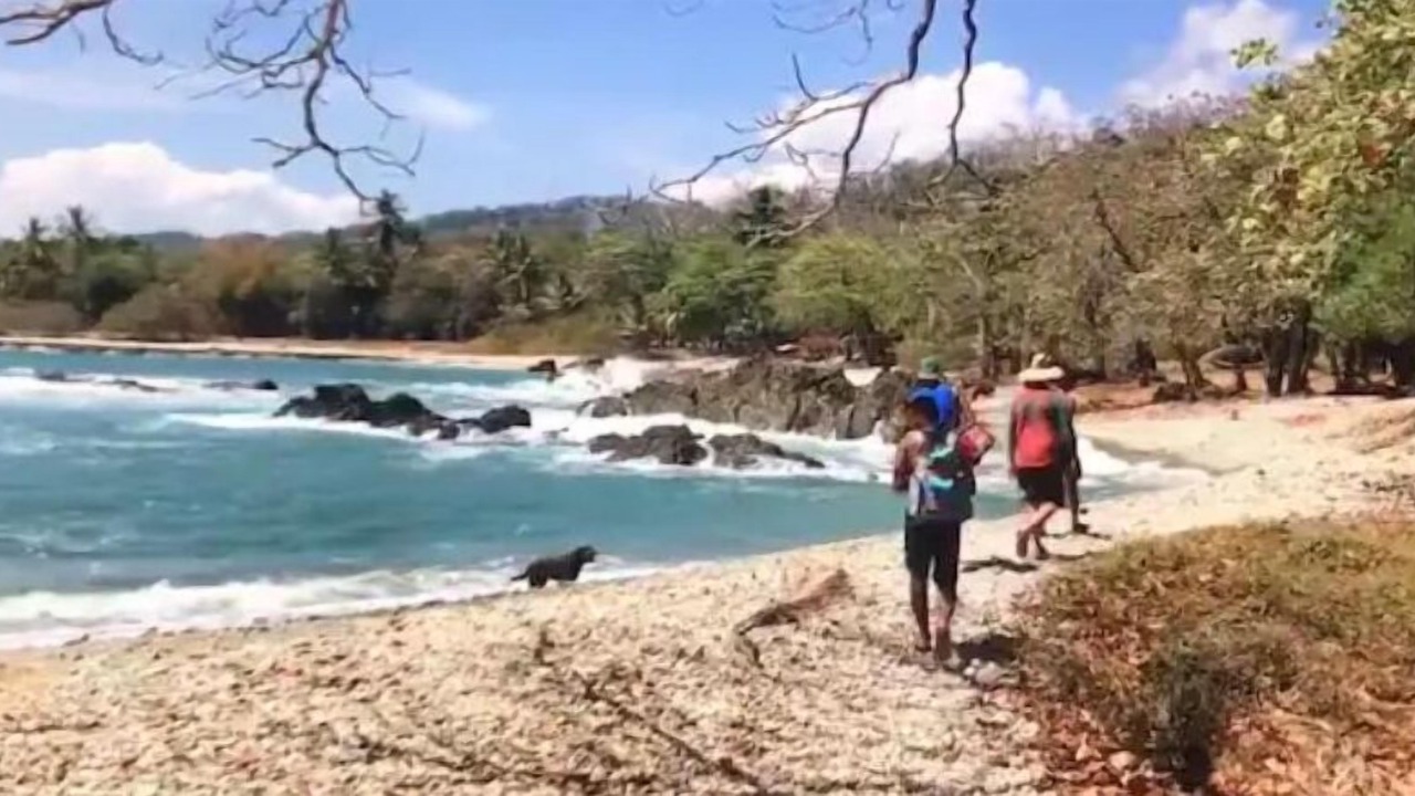 Photo of Others in Montezuma