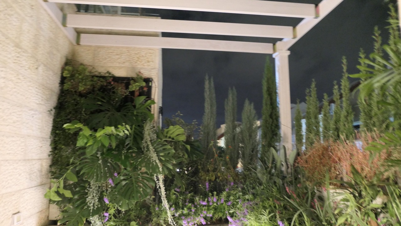 Photo of Outdoor in Beit Shemesh