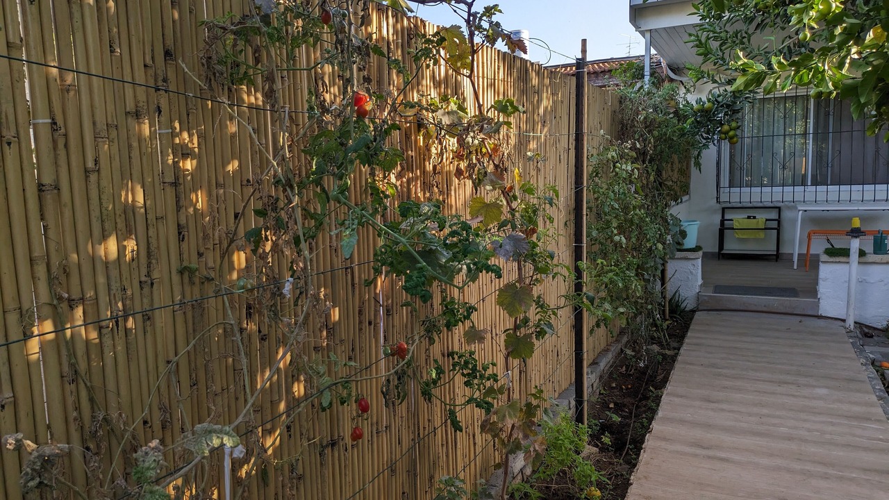 Photo of Outdoor in Tel Aviv
