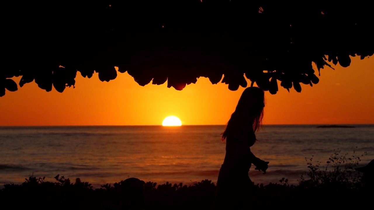 Photo of Others in Playa Grande