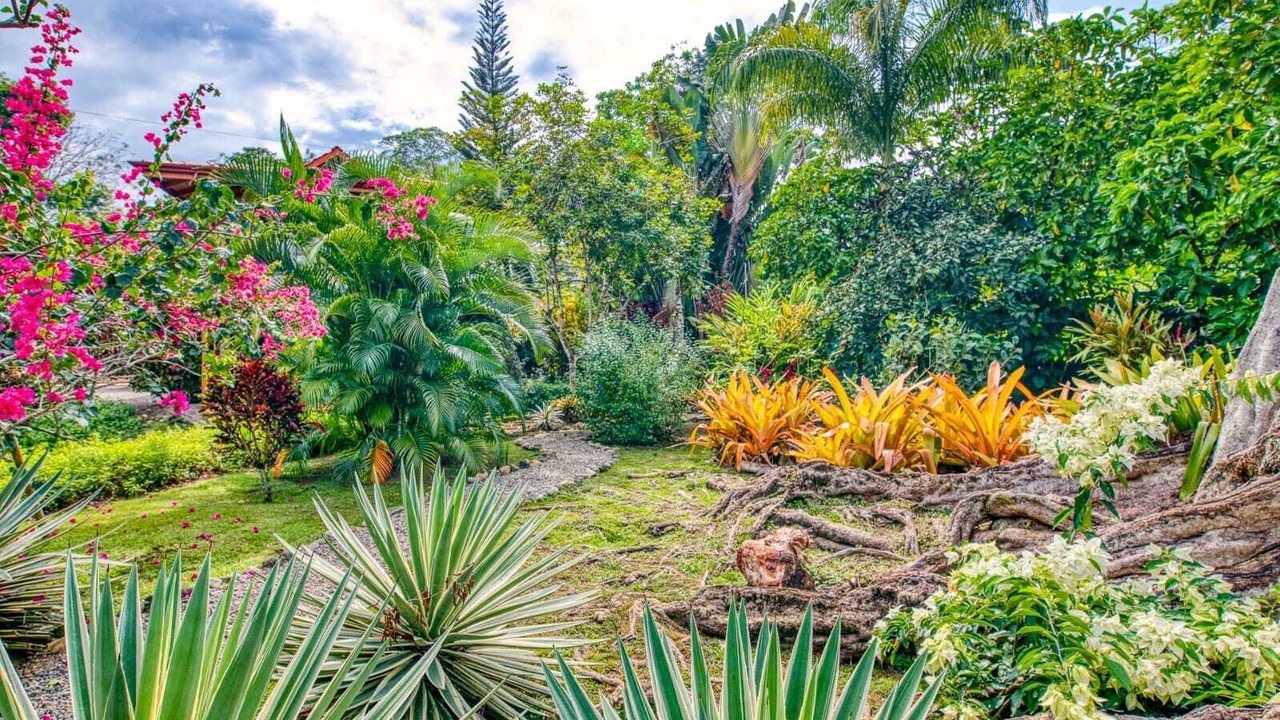 Photo of Outdoor in Puerto Viejo de Talamanca