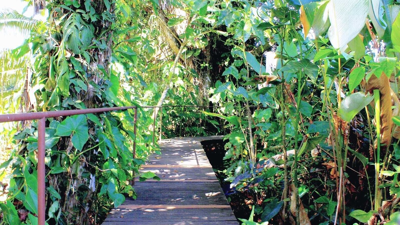 Photo of Outdoor in Puerto Viejo de Talamanca